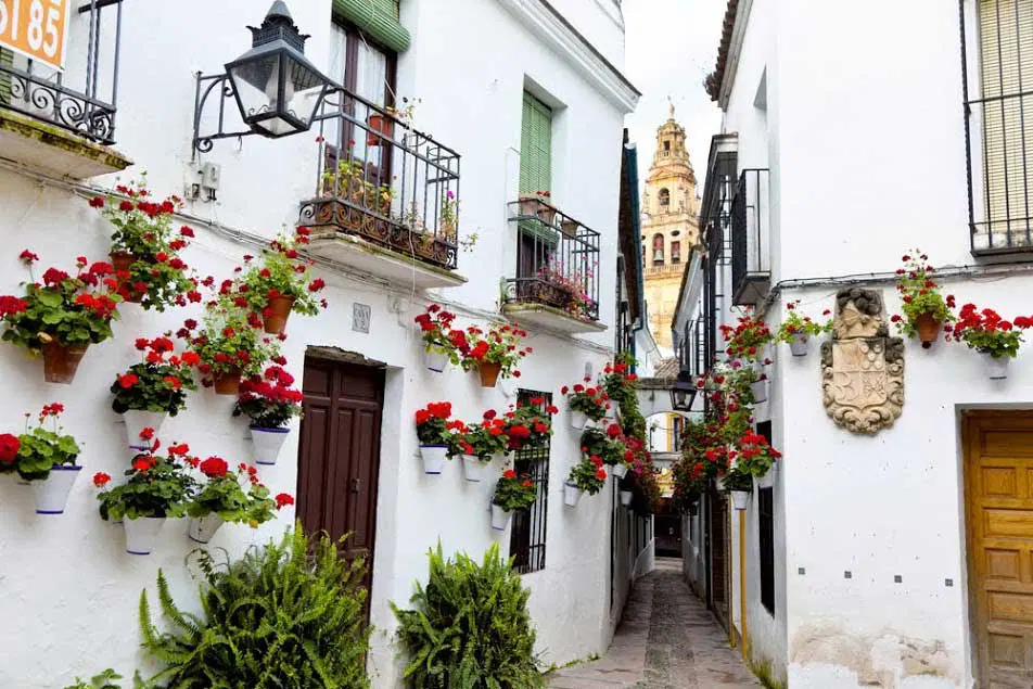 Barrio de la judería de Córdoba. Córdoba en 1 día. Lugares imprescindibles que visitar